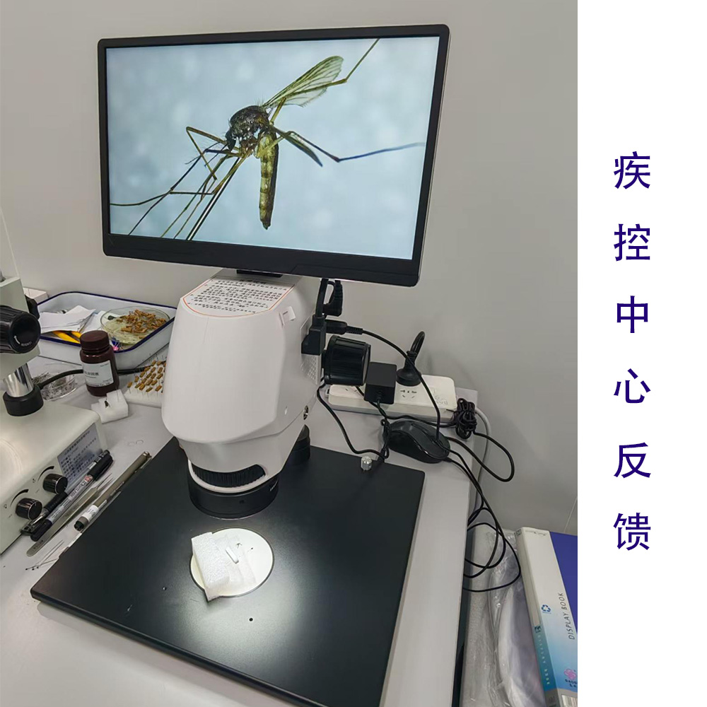 未标题-1.jpg