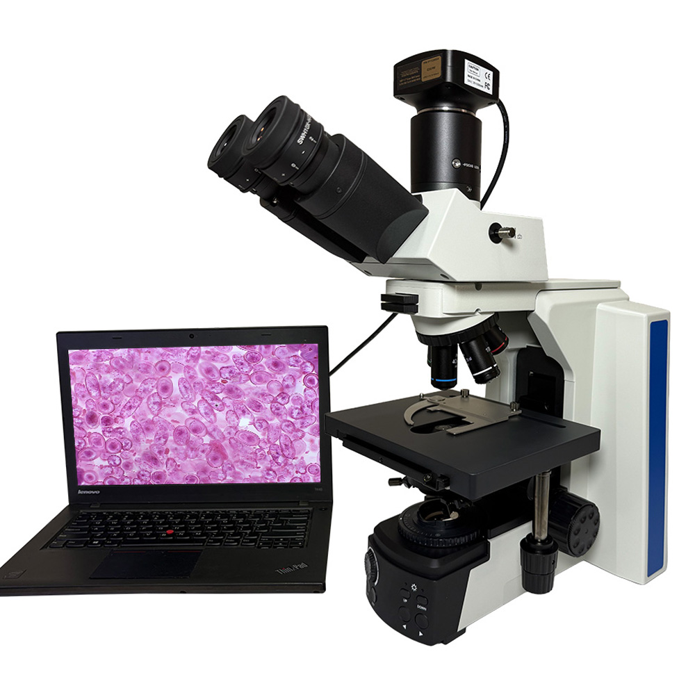 BG290T研究级编码型生物显微镜